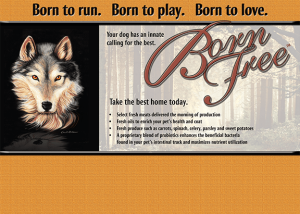 Born-Free-Rack-Header